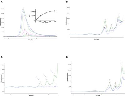 proNGF Measurement in Cerebrospinal Fluid Samples of a Large Cohort of Living Patients With Alzheimer's Disease by a New Automated Immunoassay